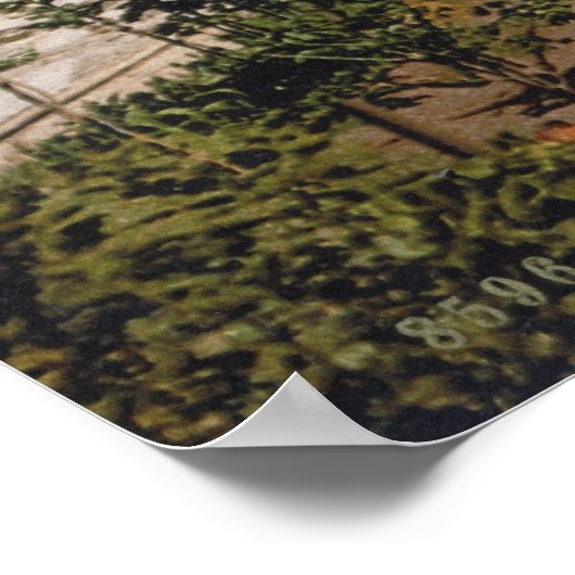 Pompeii Poster (Ecke)