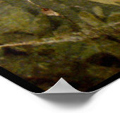 POMPEII-SAMMLUNG / DOVE IN THE GARDEN POSTER (Ecke)