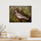 POMPEII-SAMMLUNG / DOVE IN THE GARDEN POSTER (Küche)