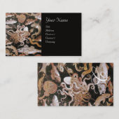 POMPEII-SAMMLUNG / OZEAN - SEE-LEBENSZENE Pearl Visitenkarte (Vorne/Hinten)