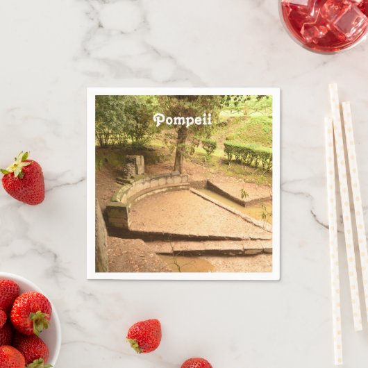 Pompeii Serviette (Beispiel)