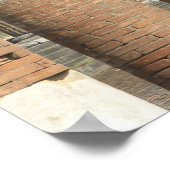 Pompeii-Vesuvius Poster (Ecke)