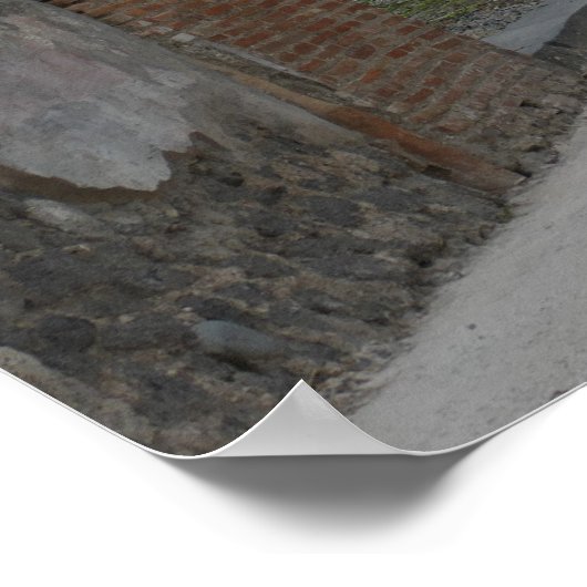 Pompeii-Vesuvius Poster (Ecke)