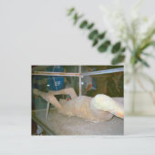 Pompeji, einer der in der Asche gefangenen Bewohne Postkarte (Stehend Vorderseite)