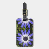 Pompeji Gepäckanhänger (Vorderseite vertikal)