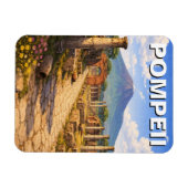 Pompeji Italien Reise Magnet (Horizontal)