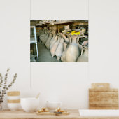 Pompeji, römische Amphorae Poster (Küche)