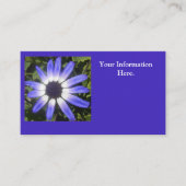 Pompeji Visitenkarte (Vorderseite)