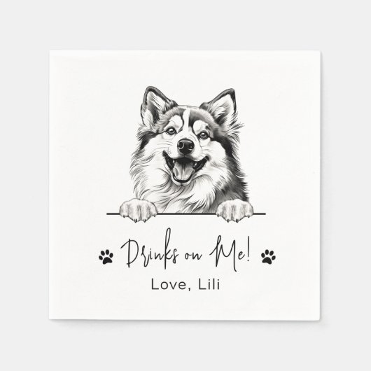 Pomsky Dog Personalisierte Getränke auf mir Serviette (Vorderseite)