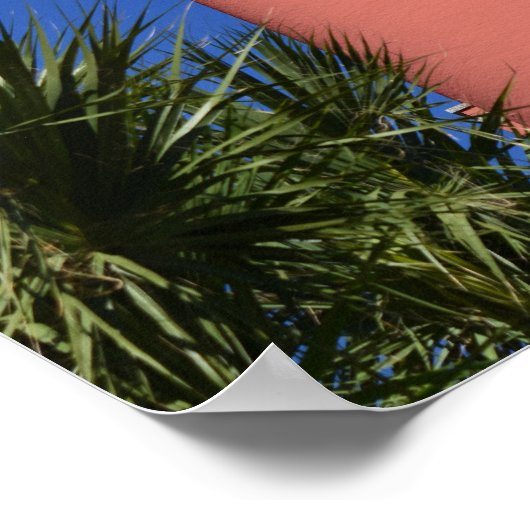 Ponce De Leon Lighthouse Foto auf Poster (Ecke)