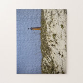 Ponce Inlet Lighthouse Daytona Beach Florida Foto Puzzle (Vertikal)