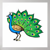 Ponce Peacock Poster (Vorne)