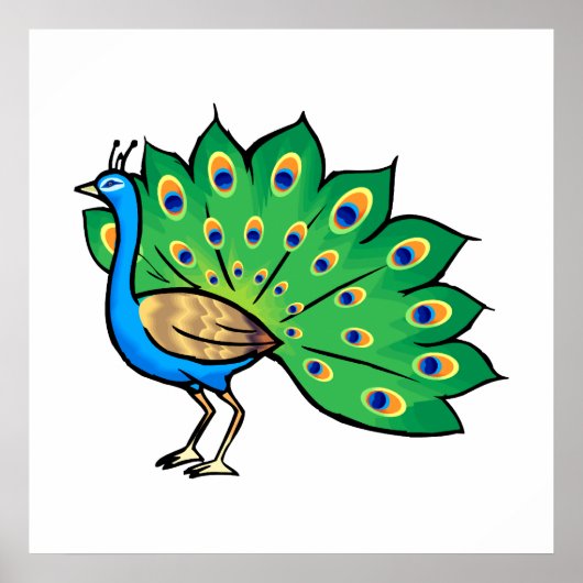 Ponce Peacock Poster (Vorne)