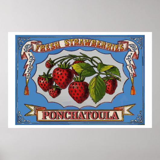 Ponchatoula Erdberies, LA Poster (Vorne)