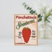 Ponchatoula Strawberries Card Postkarte (Stehend Vorderseite)