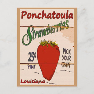 Ponchatoula Strawberries Card Postkarte