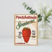 Ponchatoula Strawberries Card Postkarte (Stehend Vorderseite)