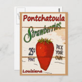 Ponchatoula Strawberries Card Postkarte (Vorne/Hinten)