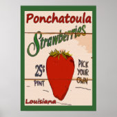 Ponchatoula Strawberries Zeichen Poster (Vorne)