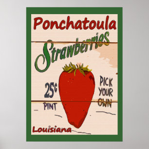 Ponchatoula Strawberries Zeichen Poster