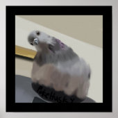 Poncho Die Taube Poster (Vorne)