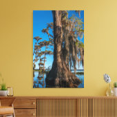 Pond Cypress Tree in einem Sumpf Leinwanddruck (Insitu (Wohnzimmer))