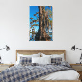 Pond Cypress Tree in einem Sumpf Leinwanddruck (Insitu (Schlafzimmer))