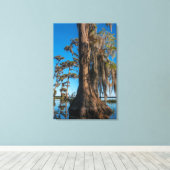 Pond Cypress Tree in einem Sumpf Leinwanddruck (Insitu (Holzboden))