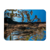 Pond Cypress Tree in einem Sumpf Magnet (Horizontal)