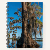Pond Cypress Tree in einem Sumpf Notizblock (Vorderseite)