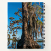 Pond Cypress Tree in einem Sumpf Notizblock (Rückseite)