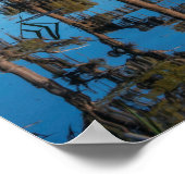 Pond Cypress Tree in einem Sumpf Poster (Ecke)