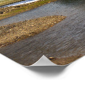 Pond Foto Poster (Ecke)