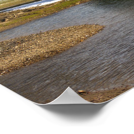 Pond Foto Poster (Ecke)