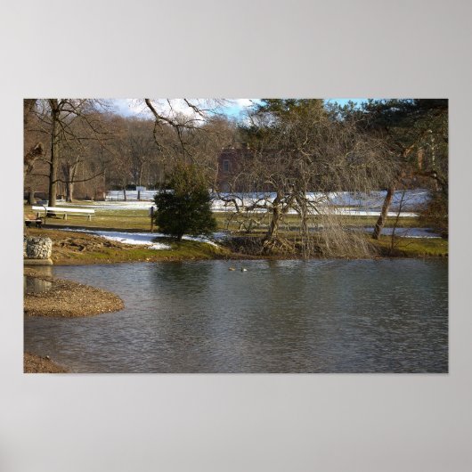 Pond Foto Poster (Vorne)