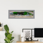 Pond Foto Poster (Heimbüro)
