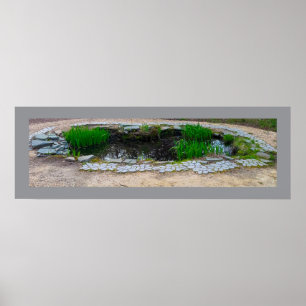 Pond Foto Poster