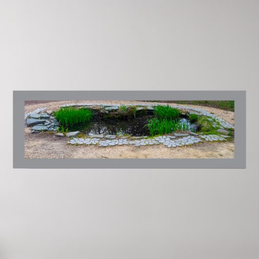 Pond Foto Poster (Vorne)
