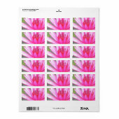 Pond Lotus Tranquility Namaste Blank Adressaufkleber (Vorne)