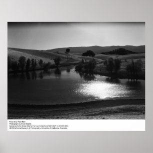 Pond Near Red Bluff von Ansel Adams Poster
