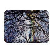 Pond Reflections 2009 Magnet (Horizontal)