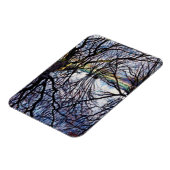 Pond Reflections 2009 Magnet (Linke Seite)