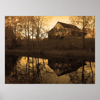 Pond Reflections Poster