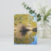 Pond Reflections Wilde Cattails Herbst Postkarte (Stehend Vorderseite)
