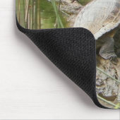 Pond Turtle Mousepad (Ecke)