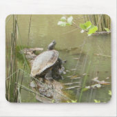 Pond Turtle Mousepad (Vorne)
