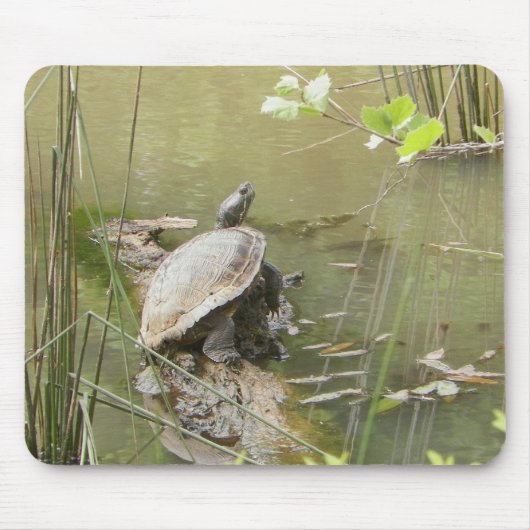 Pond Turtle Mousepad (Vorne)
