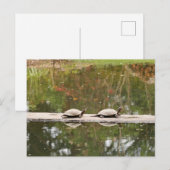 Pond Turtle Postcard Postkarte (Vorne/Hinten)