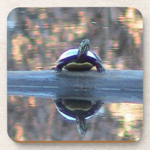 Pond Turtle Reflection Untersetzer