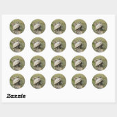Pond Turtle Stickers (Blatt)
